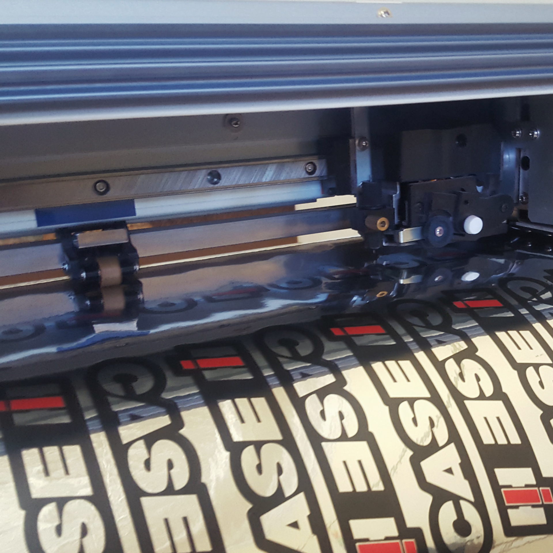 Domed Sticker